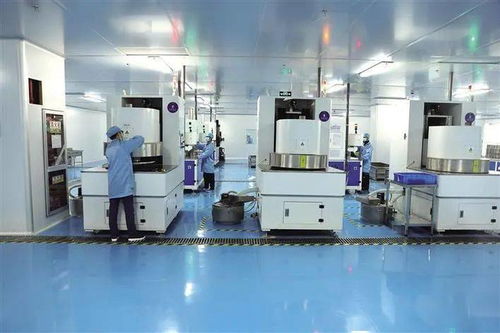 陜西省2020年重點項目觀摩活動綜述