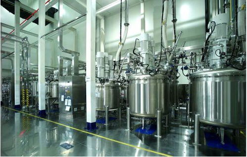探訪蜂巢能源工廠 揭秘短刀電池生產(chǎn)三大秘籍